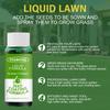 Nutritiousfor Grass Growingliquid,  Rejuvenation Liquid Spray Grass Micronutrient Booster Liquid Spray  Solutions 60ml