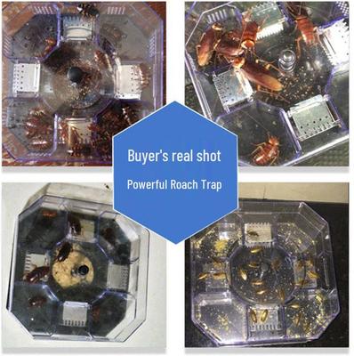 Ανώτατο Δόλωμα και Κουτί Παγίδα για Κατσαρίδες: Λύση Μετακόμισης Κατοικίας για Όλα τα Μεγέθη