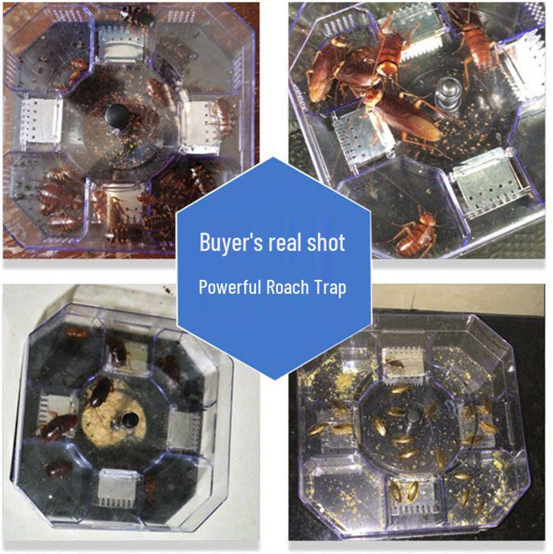 Ultimate Cockroach Bait and Killer Box: Household Removal Solution for All Sizes