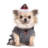 Decorative Christmas Pet Hat Cloth Adjustable Xmas Cat Santa Hat Red/Green with Drawstring Puppy Christmas Hat for Kitten
