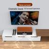 SANSUI All-in-One Home KTV Entertainment System CN Plug (adapter Included)