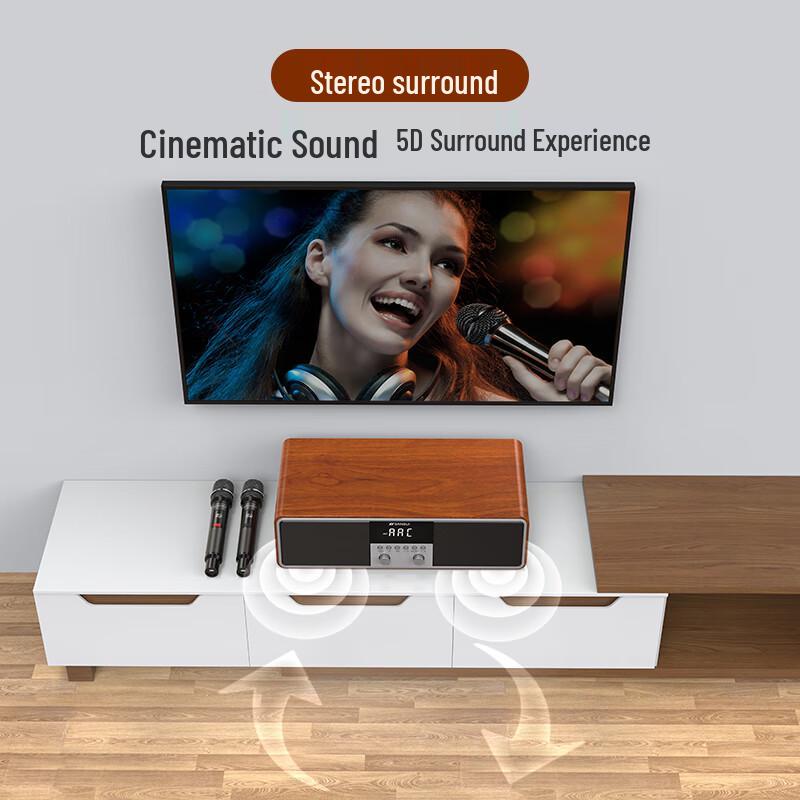 SANSUI All-in-One Home KTV Entertainment System CN Plug (adapter Included)