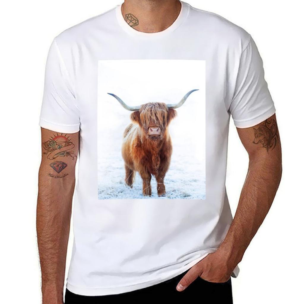 Highland Cow Scotland Tshirt Casual Daily Graphic Tee Tshirt