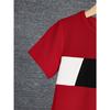 2pcs Boys Casual Colorblock Short Sleeve T-shirt & Shorts Set, Comfy Summer Kids Clothes