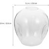 Glass Lamp Shade Lamp Cover Transparent Light Shade Round Globe Lamp Shade Lighting Fixture Replacement for Ceiling Light Bedside Table Lamp Standing