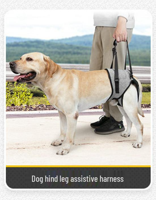 Breathable Anti-Shedding Four-Legged Pet Outfit for Small & Medium Dogs