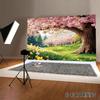 2D Spring Cherry Blossom Park with Green Grass Studio Background