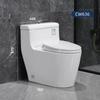 Shengbai Siphon Toilet