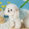 New Teddy Bigbear Pet Lace Dress Small and Medium Dogs Spring and Summer Breathable Cat and Dog Clothes