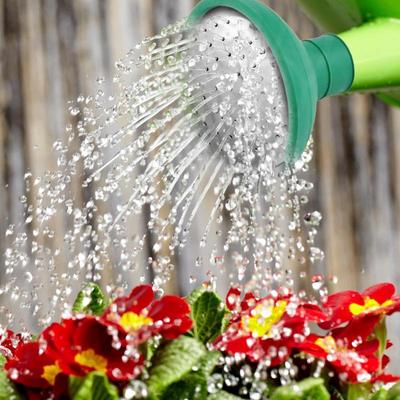 Water Can Head Replacement Water Sprinkler Sprayer Nozzle Cap For Bonsai Potted Plants Flowers Misting Houseplant Care Indoor