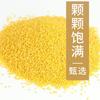 500g Złote Proso z Shandong He Lai Xiang Wysokobłonnikowe Bezglutenowe Płatki Owsiane