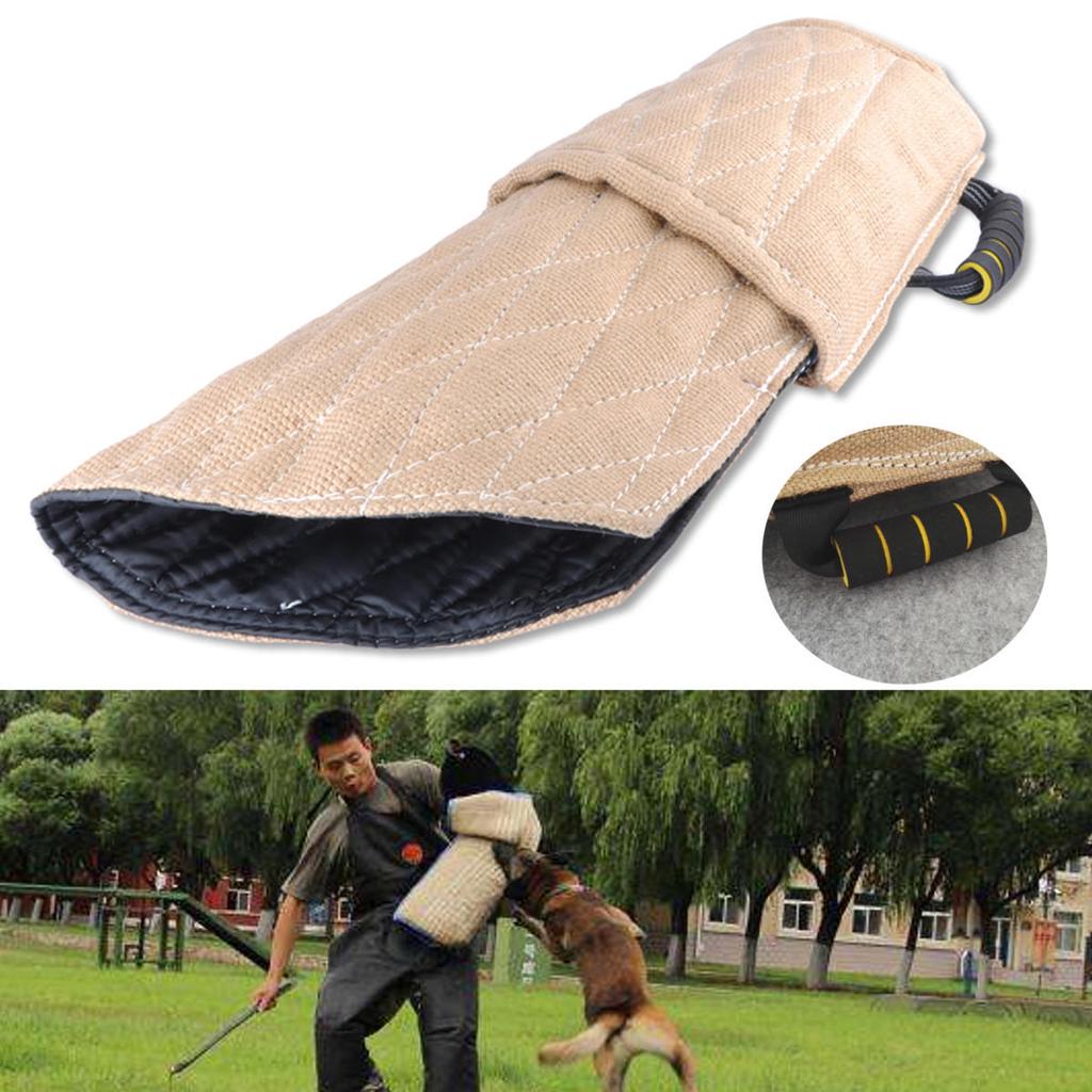 how-much-does-attack-dog-training-cost