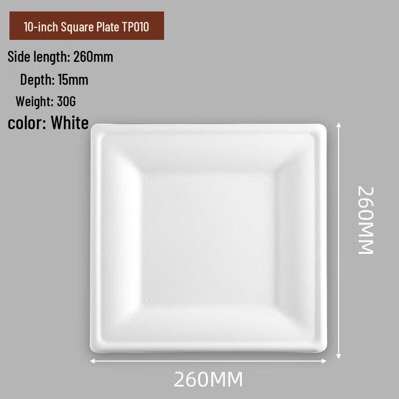 Assiettes Carrées Biodégradables OIMG 10 pouces