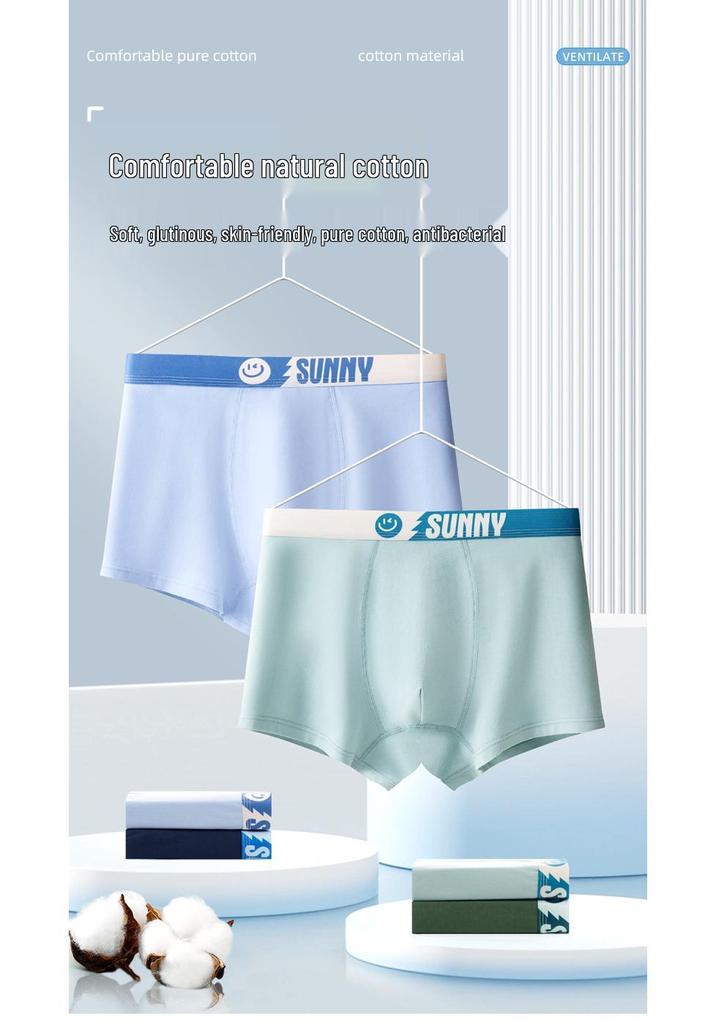 Men's Plus Size Pure Cotton Antibacterial Boxer Briefs - 100% Cotton Crotch