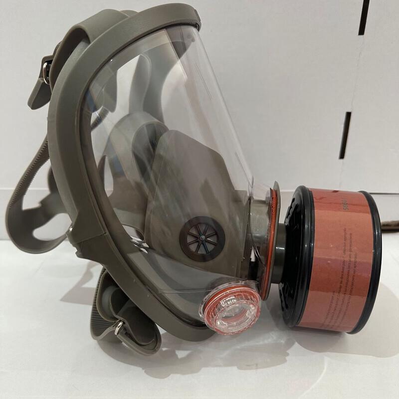 WEZHO 6800 Full Face Gas Mask