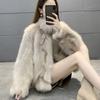 Imitation Fox Hair Light Imitation Fur New Women's Short Hair Thickened Coat Winter