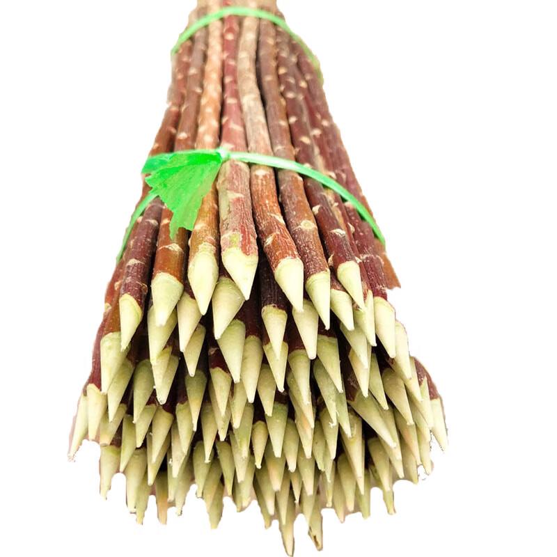 COFLYEE Disposable Bamboo BBQ Skewers
