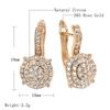 New  Rose Gold Dangle Earrings Micro-Wax Inlay Natural Zircon Women Earrings Luxury Wedding Fashion Jewelry