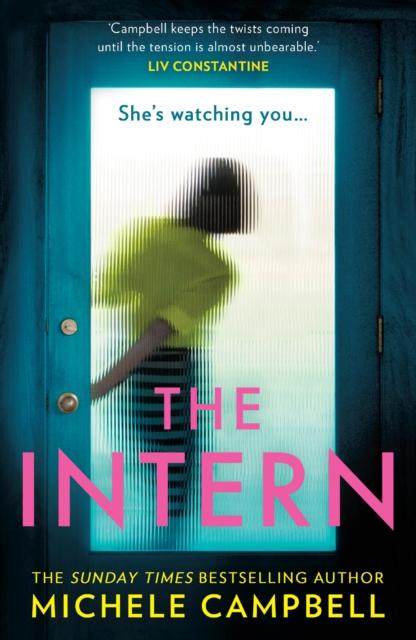 The The Intern Book