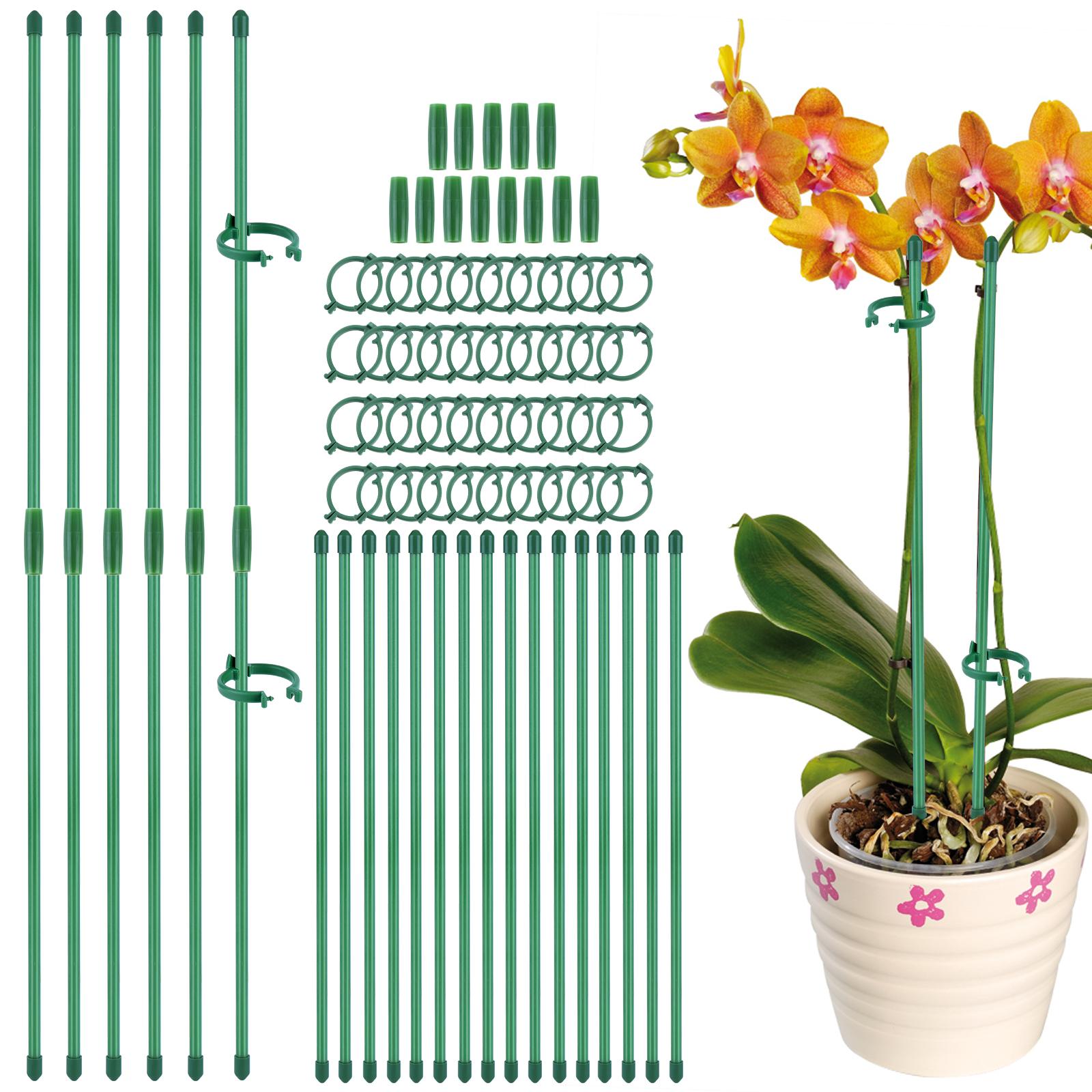 30Pcs Adjustable Plant Support Indoor Plant Sticks Support with Clips & Connectors Plant Support Stakes for Indoor Plants China Mainland