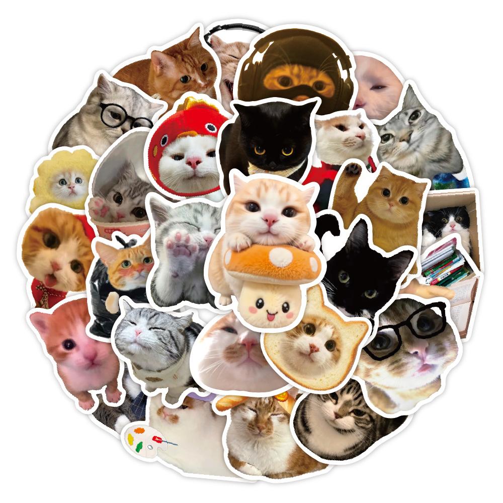 10/30/50pcs Kawaii Animal Cat Graffiti Stickers Funny Kitten MEME Decal Suitcase Helmet Laptop Phone Cute Decoration Sticker Toy