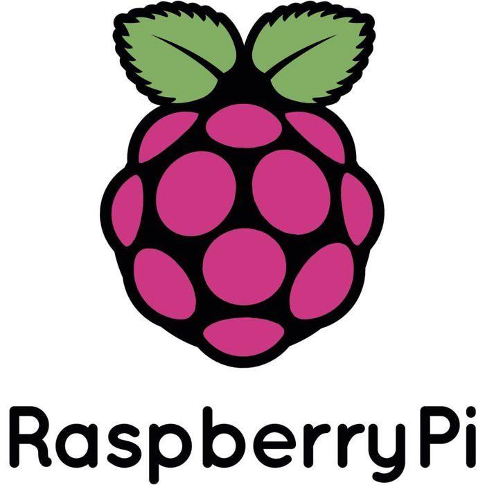 Boîtier Pour Ordinateur Monocarte Raspberry Pi® SC0230 Noir 1 Pc(s) | BOITIER UNIVERSEL