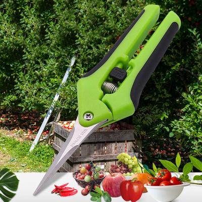 Stainless Steel Flower Branch Scissors Pruning Shears Thinning Fruit Thinning Grape Shears Straight Elbow Garden Gardening Shears