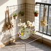 Glasvasen für Blumen Weithals-Blumenvasen Terrarien Hydroponischer Pflanzer Glas-Blumentopf für Tafelaufsätze Heimdeko