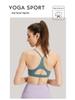 High-Elastic Shockproof Yoga Bra - Hollowed Design, Quick-Dry, High-Intensity Support for Women