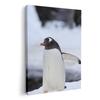 Art 420mm X Wall Wooden Stylish Interior Photo Panel, Painting, Decoration, Igsticker, 297mm, A3, Photo, Hanging, Frame, Decor, 004679, Animal,