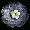 Japanese Hammered Petal Glass Dessert Plate Set