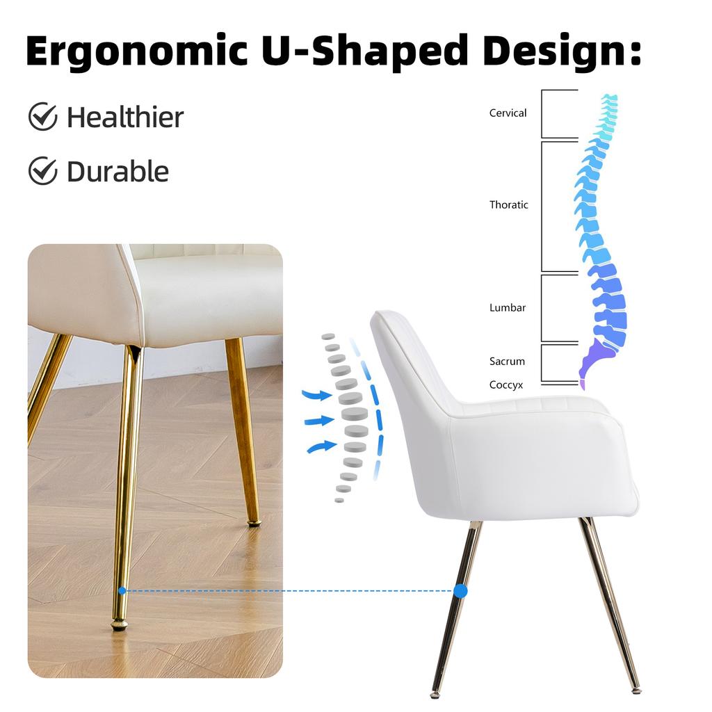 Dining Chair Set of 2 – Modern Fabric Chair with Armrest, Gold-Plated Metal Legs, Luxurious Dining Furniture for Living Room, Kitchen & Reception Room
