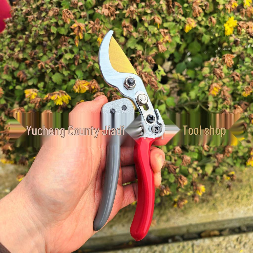 SK5 Steel Pruning Shears: Garden Scissors & Branch Cutters for Trees & Flowers