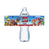 New PAW Patrol & Pikachu Party Cartoon Reusable Water Bottle Stickers