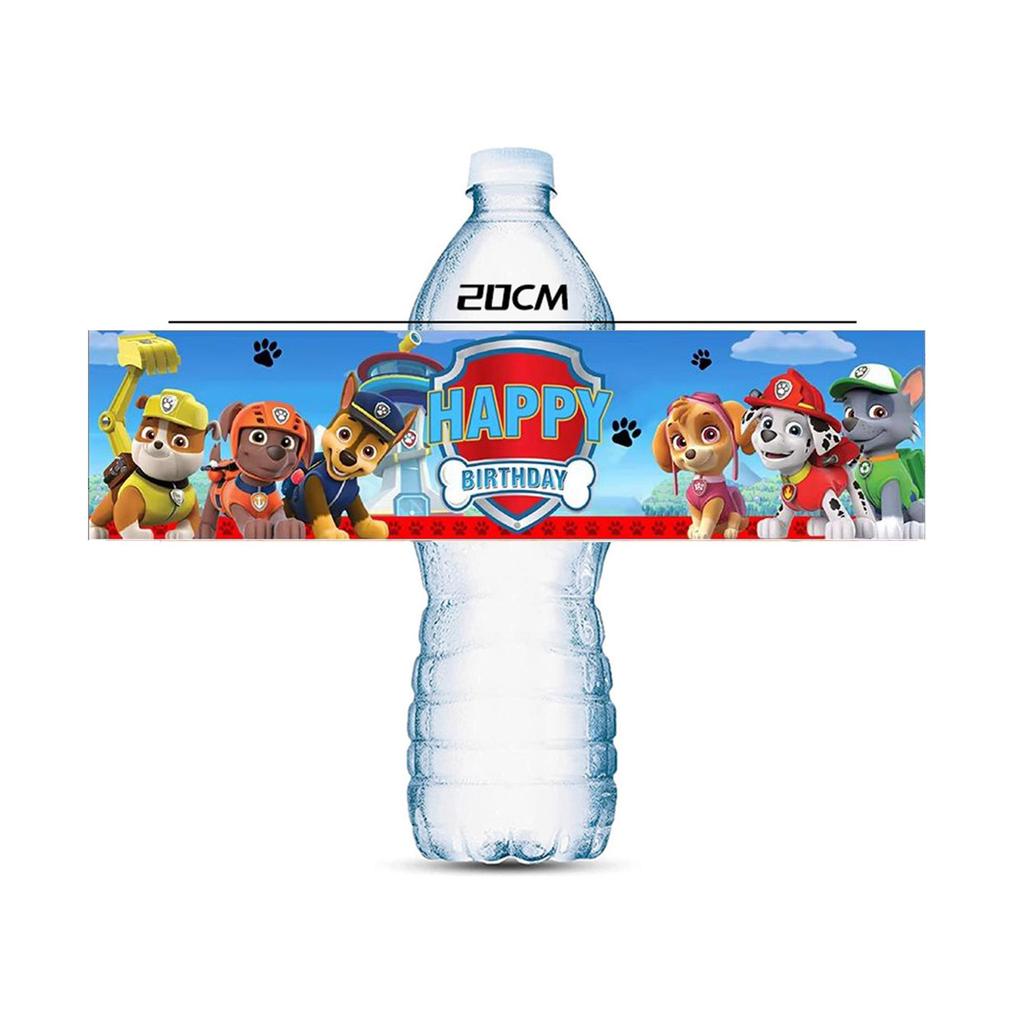 New PAW Patrol & Pikachu Party Cartoon Reusable Water Bottle Stickers
