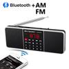 Digitales tragbares Radio AM FM Bluetooth-Lautsprecher Stereo-MP3-Player TF SD-Karte USB-Laufwerk Freisprechanruf wiederaufladbare Lautsprecher