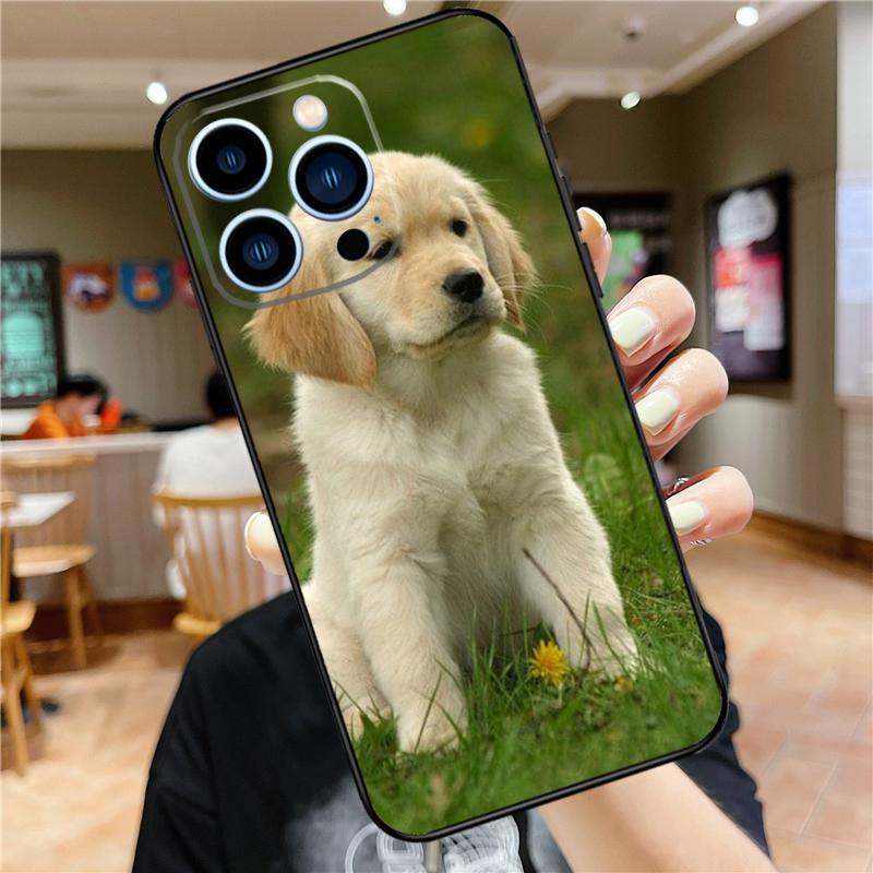 Golden Retriever Dog Case For iPhone 17 16 14 13 12 11 15 Pro Max Mini Plus 16e 17 Air Bumper Cover Accessories
