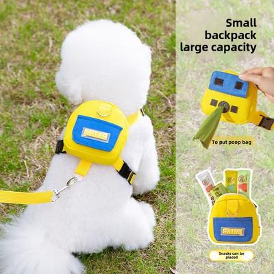 Köpek – Köpek Tasmaları ve Tasma Kayışları