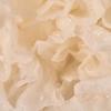 Kaine Vegan Collagen Cream
