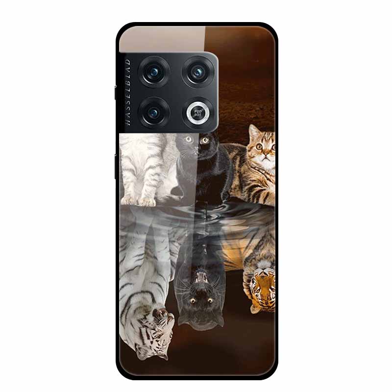 For One plus 10 Pro Case Shockproof Tempered Glass Hard Back Cover For OnePlus 10 Pro 10Pro Oneplus10 1+10 Pro Bumper Coque Case