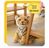 Realistic Tiger Plush Toy - Children's Birthday Gift & Cushion - Northeast Tiger Design