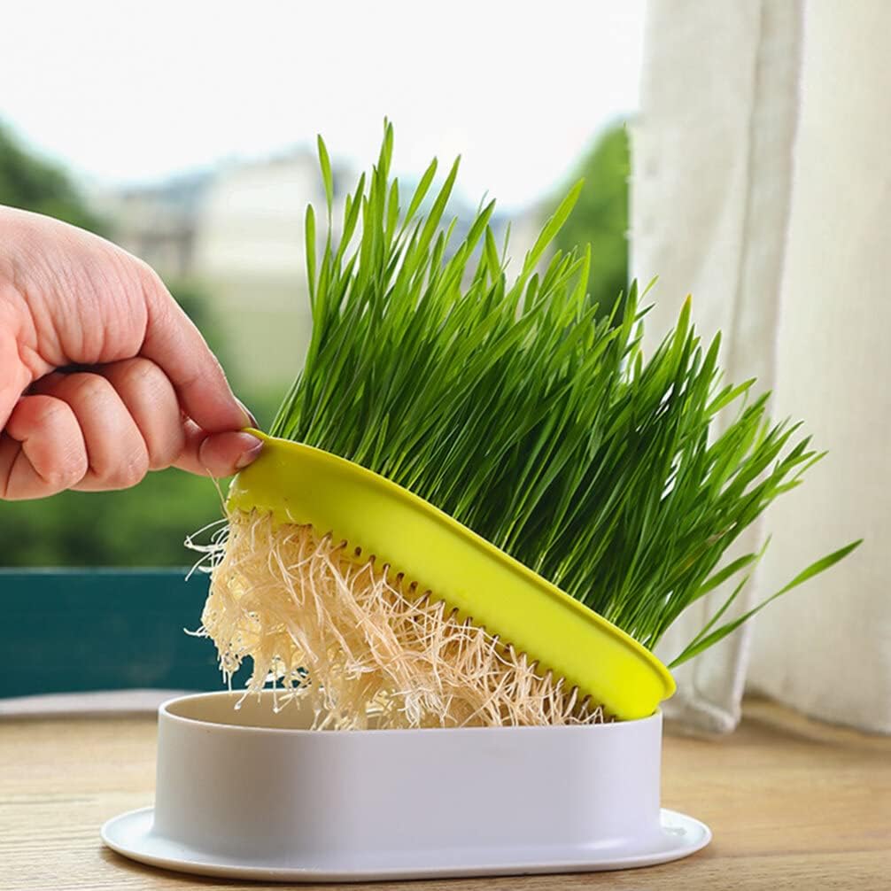 4pcs Cat Plant Convenient Planting Box Household Cat Grass Box Nursery Cat Plant (4 Colors)