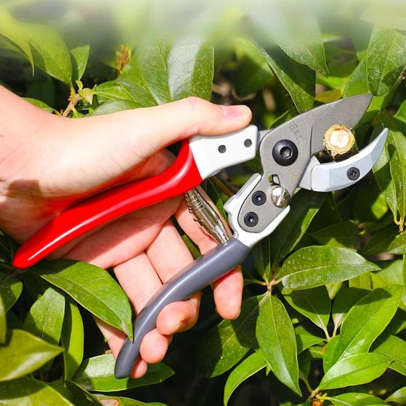 Секатор для плодовых деревьев, Экономящий силы Садовый секатор для веток с острым лезвием из нержавеющей стали и эргономичной ручкой