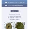MAXCLINIC Pro Hyaluron Gel Cream