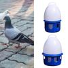 Portable Plastic Pigeon Drinker Automatic Watering Feeder Hanging Bird Water Container for Parrot Quail Dove Cage