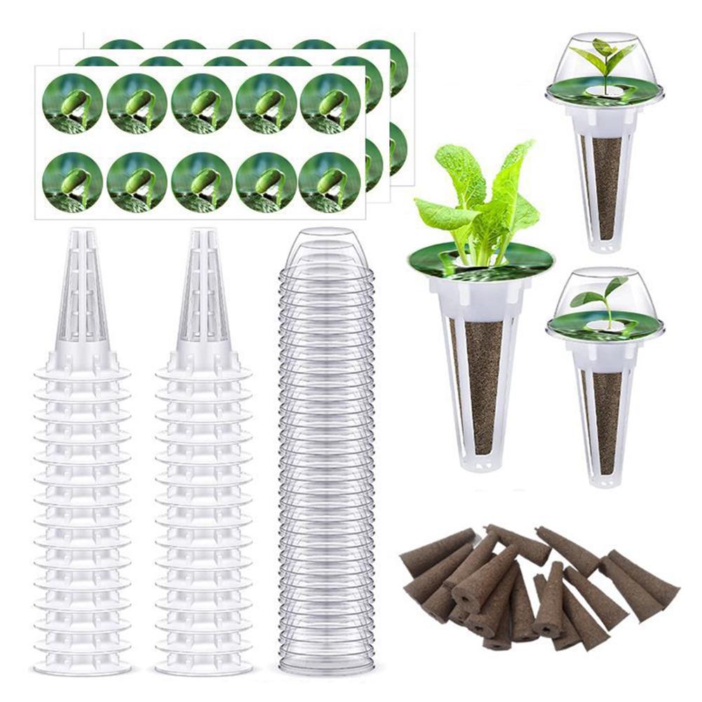 

Transparent Wheatgrass Sprouting Tray Multifunctional Set Plant Trays Plastic Convenient Observation for Outdoor Indoor Supplies