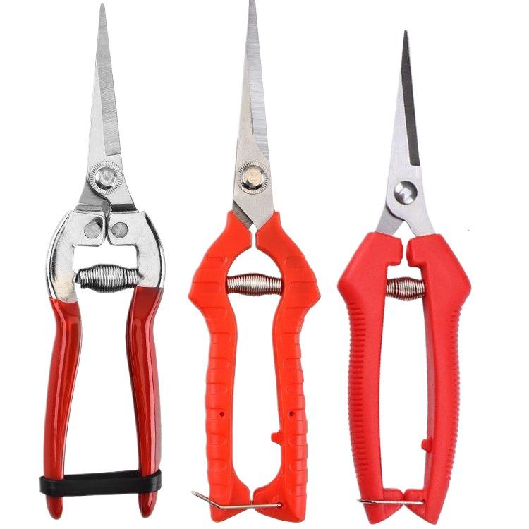 Gardening Shears Set: Pruning & Thinning Tools for Fruit, Vegetables, Sweet Potatoes, Grapes, and Apples; Includes Picking and Prickly Ash Shears.