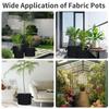 5/10 szt. Torba do uprawy warzyw/kwiatów/roślin 5 galonów Zagęszczone włókninowe torby do uprawy Tkanina do aeracji Doniczka ogrodowa z uchwytami