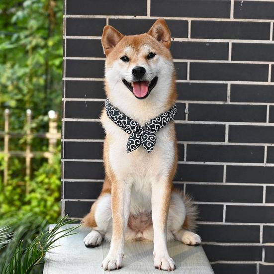 Yousheng Pet Scarf Classical Japanese Style Printed Comfortable to Wear Warm Fashionable Eye-catching Pet Scarf