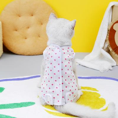 Katzen – Kleidung für Katzen